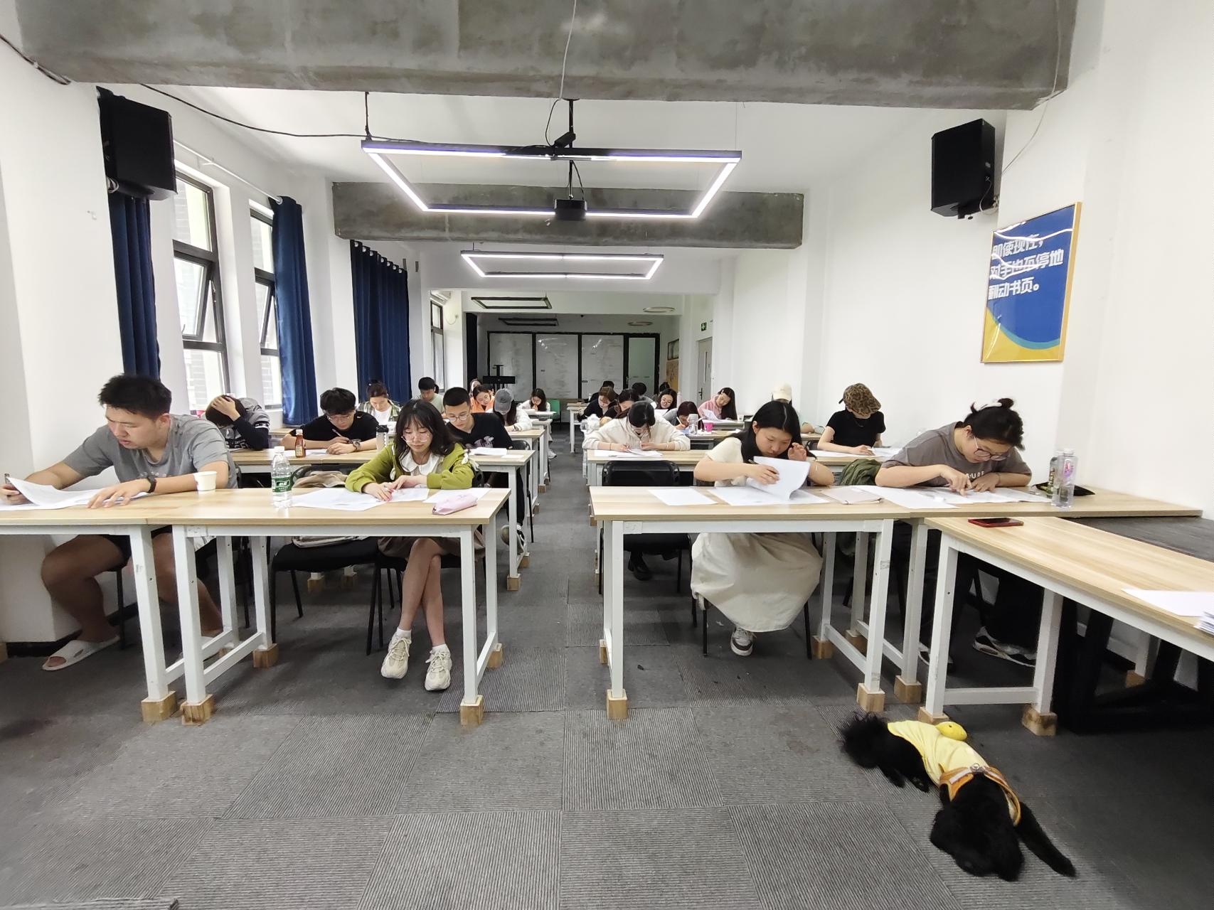 叮格记忆 · 品牌主片